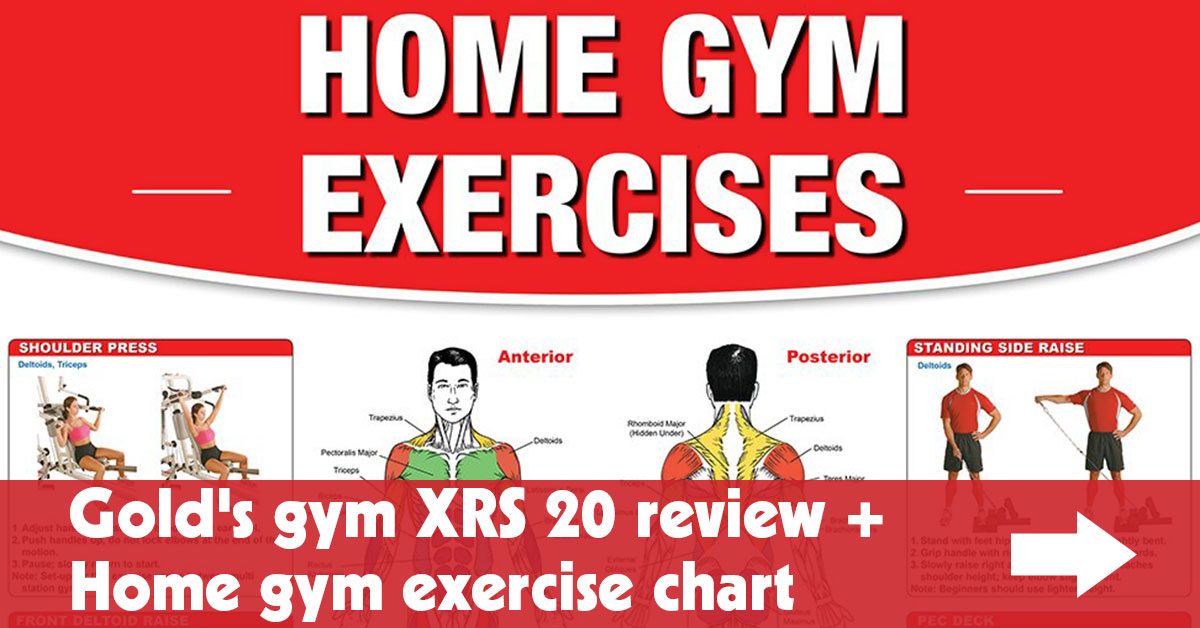 Gold's gym xrs 20 olympic workout 2025 bench exercise chart